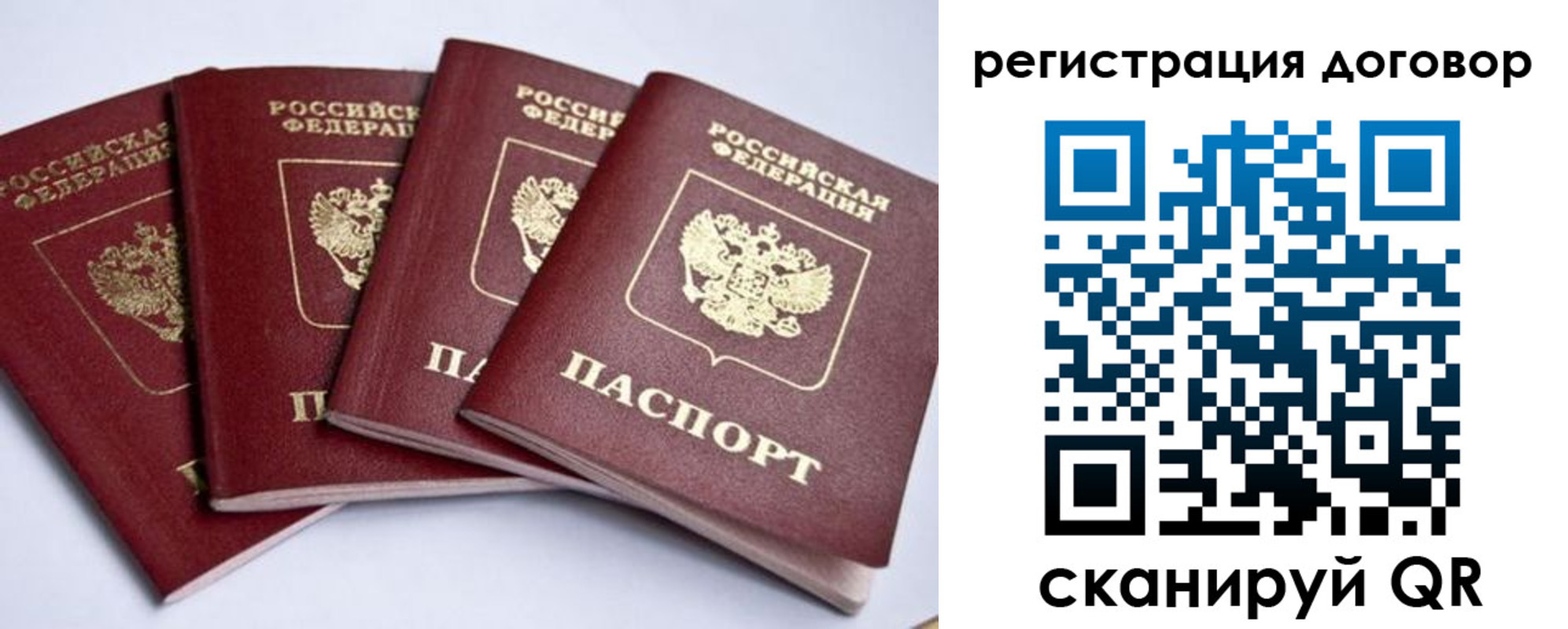 прописка поиск в Сольцах