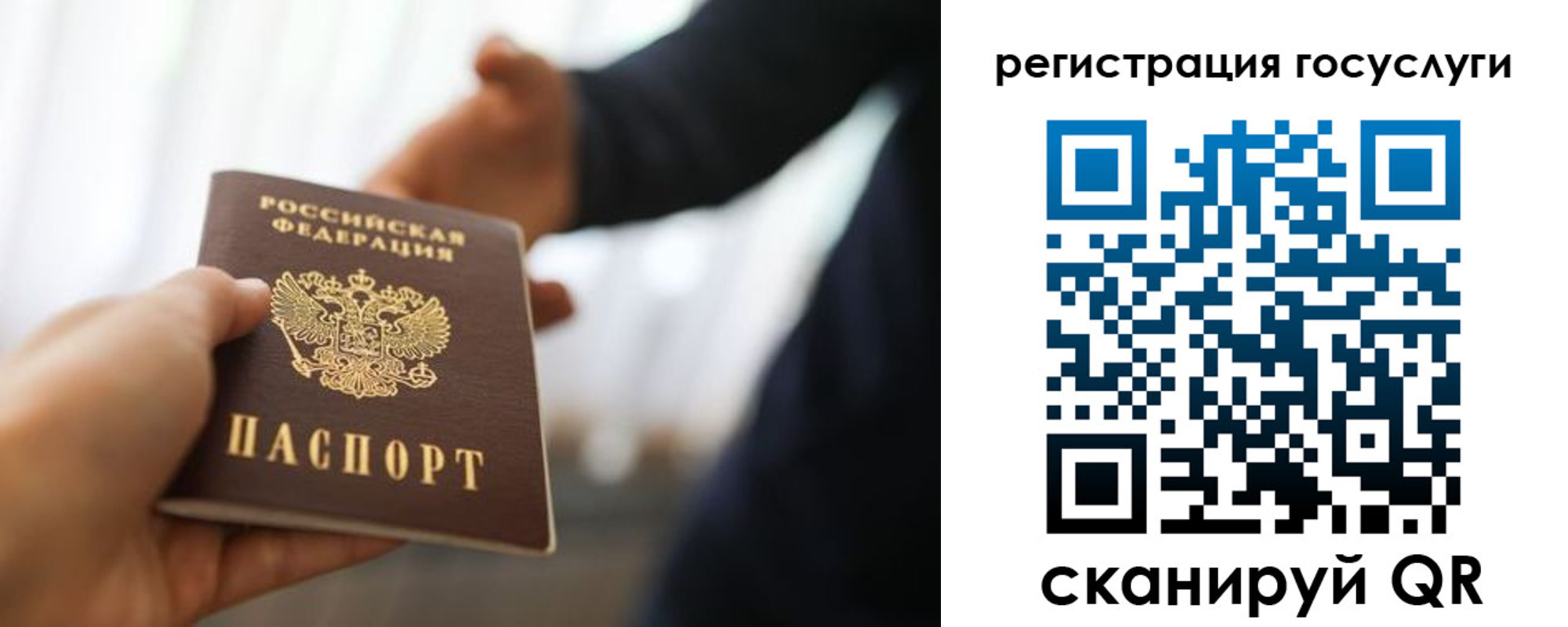 прописка в Сольцах