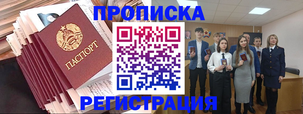 где прописаться в Сольцах